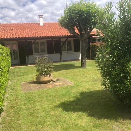 הוילה סנגווינה Agreable Maison A 400M Du Lac מראה חיצוני תמונה