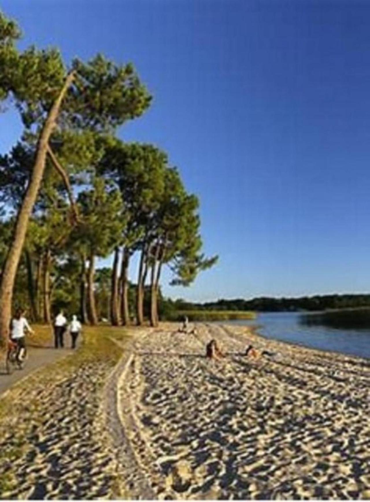 הוילה סנגווינה Agreable Maison A 400M Du Lac מראה חיצוני תמונה